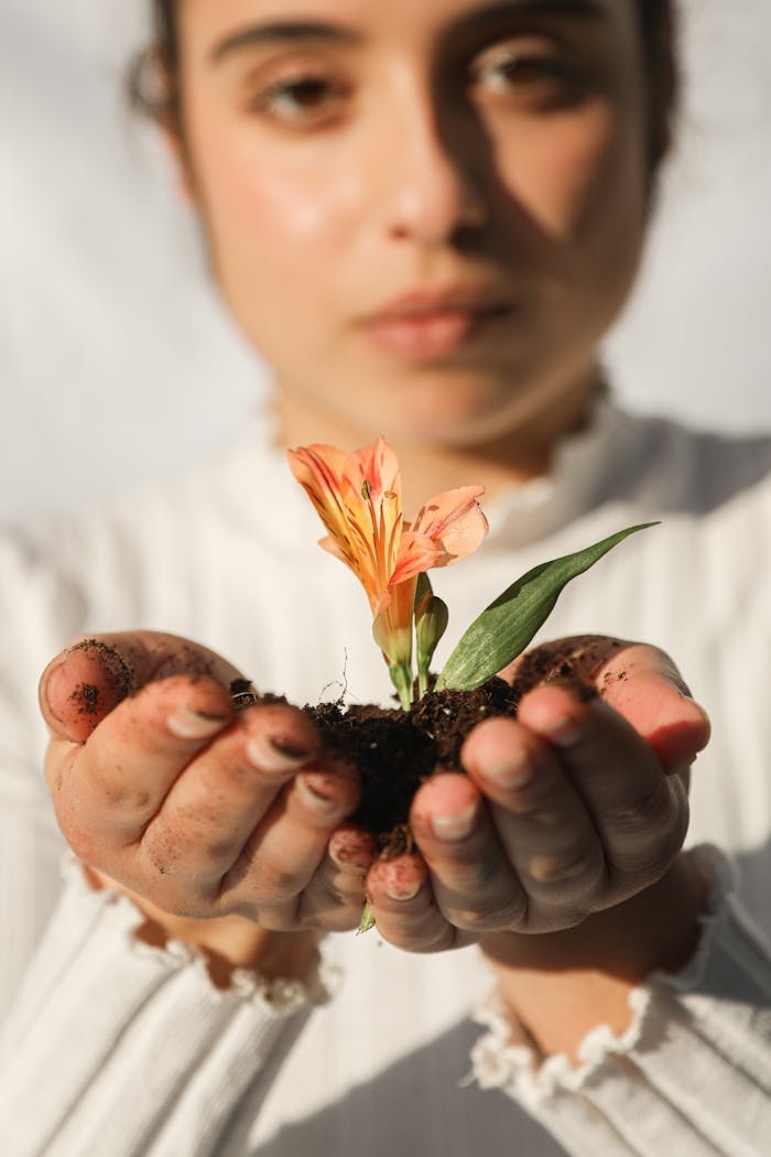 A young woman holds a small plant with soil in her hands, highlighting a connection with nature.
